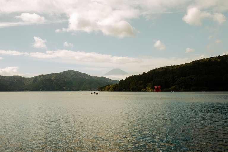 Reinaldo Simoes on Pexels