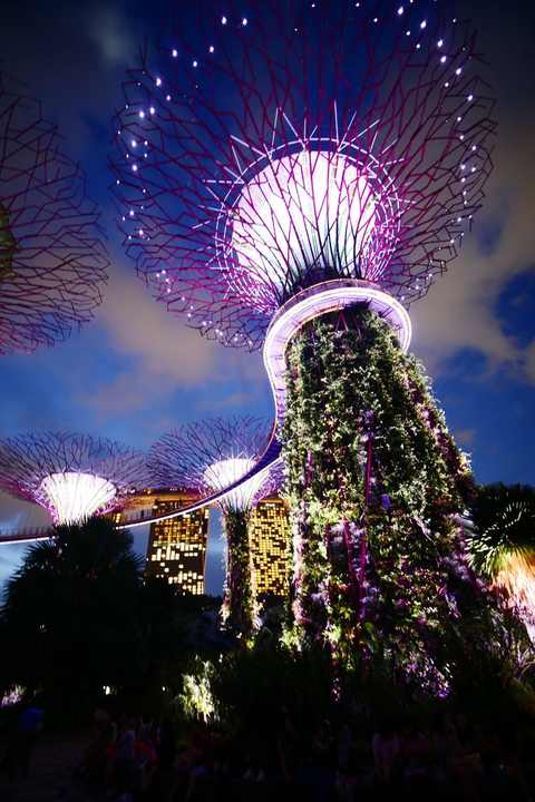 Asia in Motion